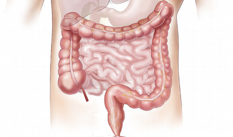 Your Leaky Gut & Performance