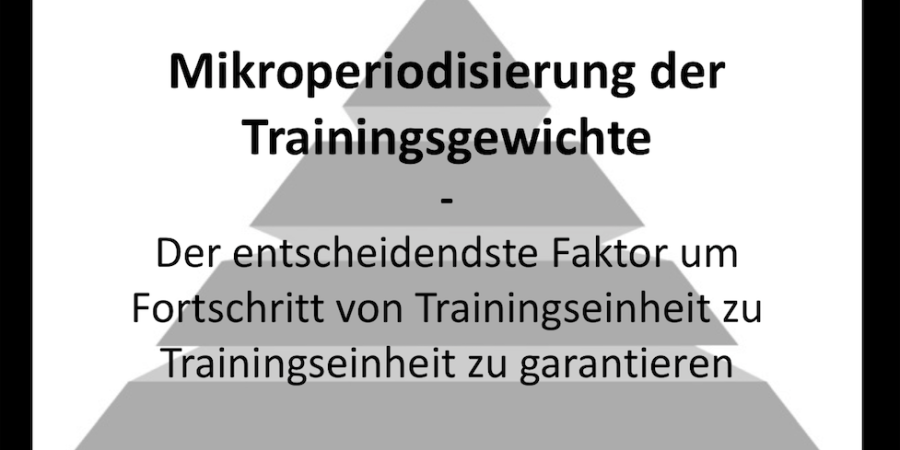 Was ist Mikroperiodisierung?