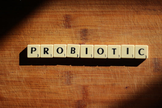 Warum Probiotika deinen Darm nicht „aufbauen“