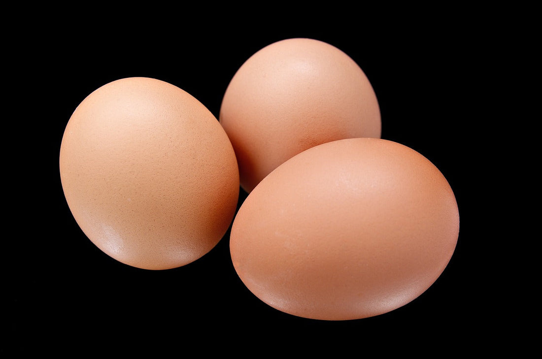 LDL-, HDL- & Triglyzeridwerte im richtigen Kontext