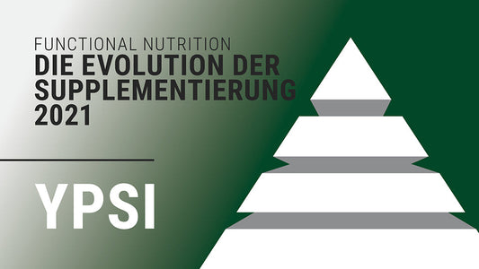 Die Evolution der Supplementierung 2024 (6 Monate Zugang)